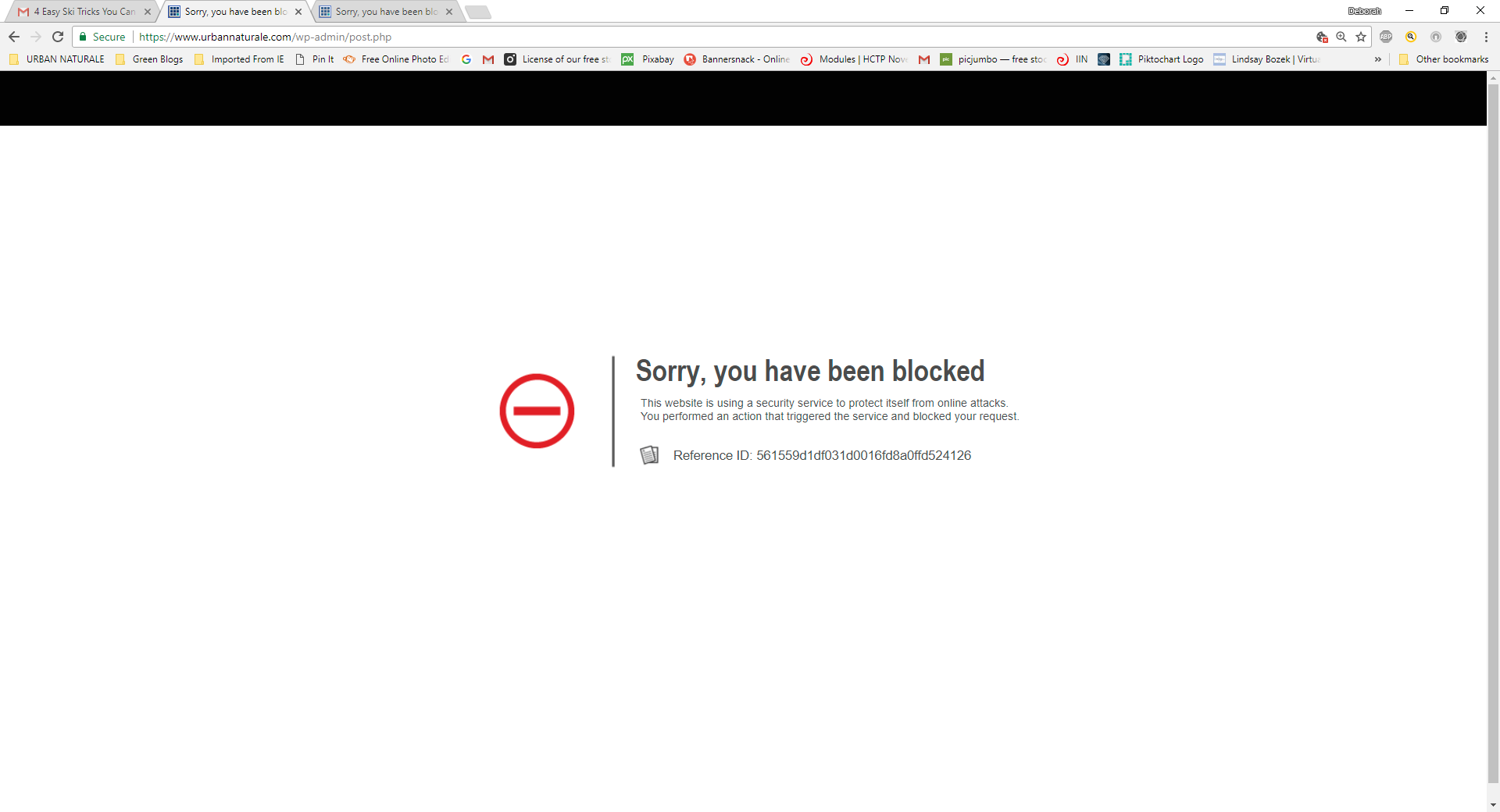 Website Visitors Blocked by Cloudflare Security Measures