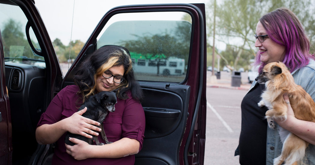 Six-Month Prison Term for Transgender Migrant Who Assaulted 14-Year-Old Draws Condemnation