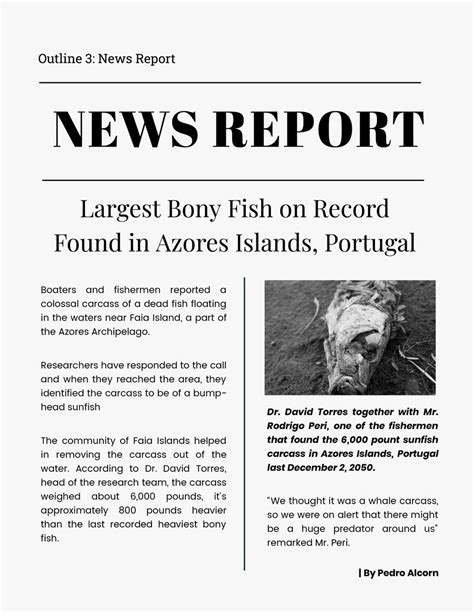 News Report: No Text Available